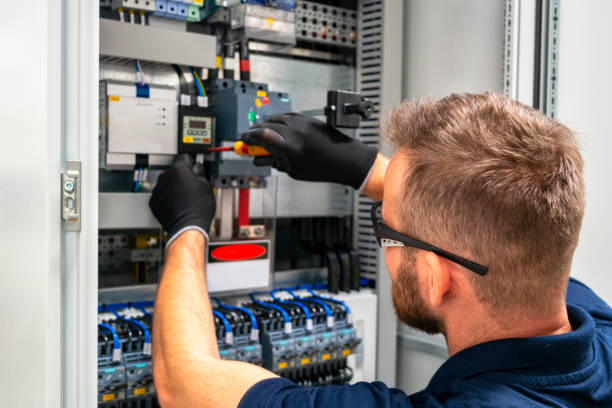 Best Electric Panel Repair  in Cisco, TX